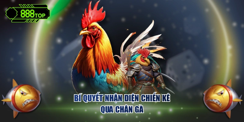 Bí quyết nhận diện chiến kê qua chân gà