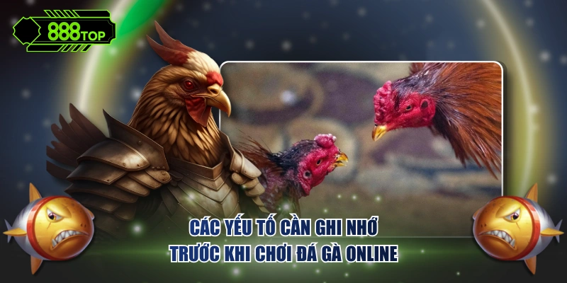 Các yếu tố cần ghi nhớ trước khi chơi đá gà online