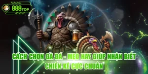 Cách Chọn Gà Đá