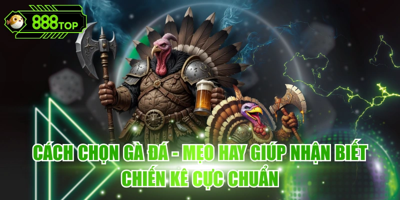 Cách Chọn Gà Đá
