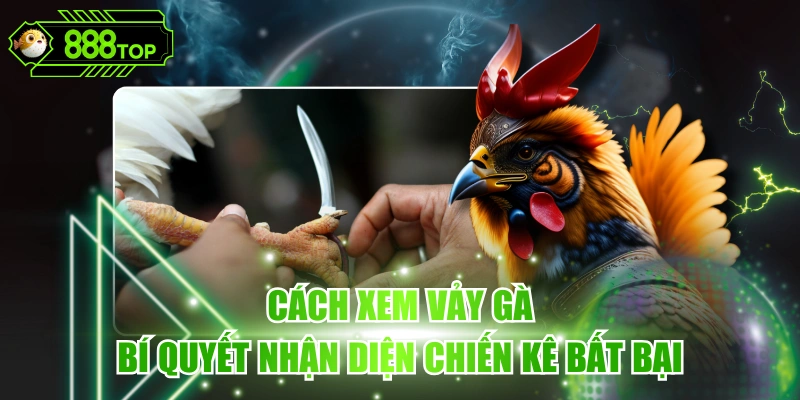 Cách Xem Vảy Gà