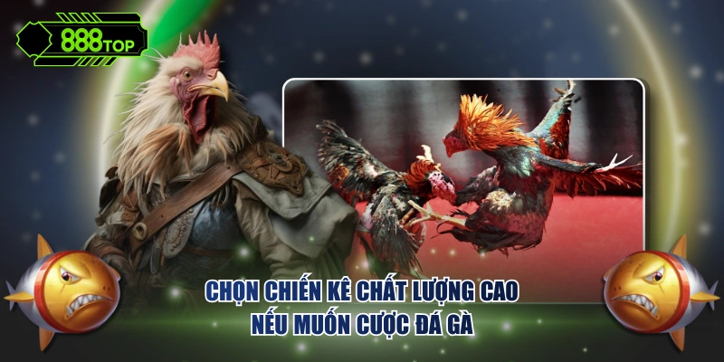 Chọn chiến kê chất lượng cao nếu muốn cược đá gà