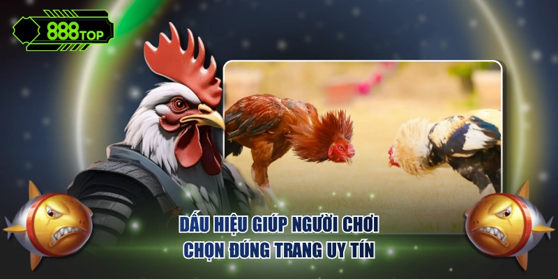 Dấu hiệu giúp người chơi chọn đúng trang uy tín