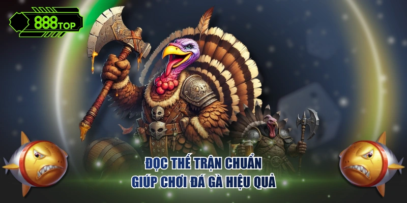 Đọc thế trận chuẩn giúp chơi đá gà hiệu quả