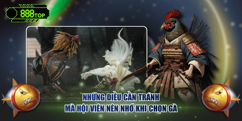 Những điều cần tránh mà hội viên nên nhớ khi chọn gà