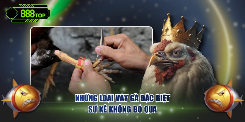 Những loại vảy gà đặc biệt sư kê không bỏ qua