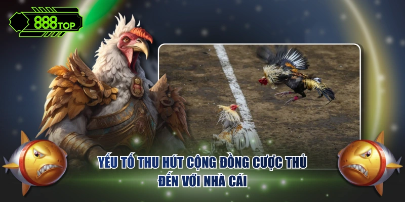 Yếu tố thu hút cộng đồng cược thủ đến với nhà cái